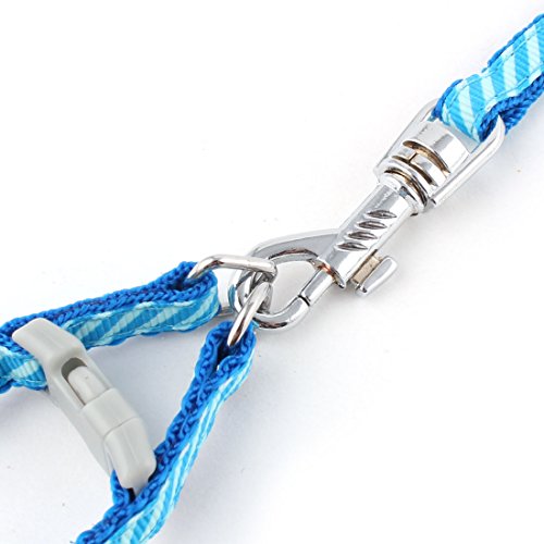 Ruilogod Welpen Hund Schrägstreifen Muster Schritt-in-Kabelbaum Z107 Seil Training Leine Blau Ruilogod Welpen Hund Schrägstreifen Muster Schritt-in-Kabelbaum Z107 Seil Training Leine Blau von Ruilogod