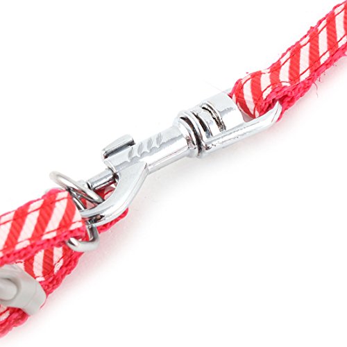 Ruilogod Welpenhund Schrägstreifenmuster-Schritt-in-Harness-Z107-Seil-Trainingsleine rot Ruilogod Welpenhund Schrägstreifenmuster-Schritt-in-Harness-Z107-Seil-Trainingsleine rot von Ruilogod