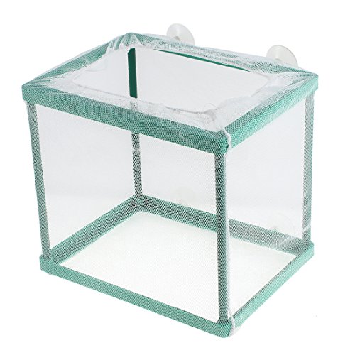 Ruilogod Zucht Hatchery Isokoffer Aquarium Net Züchter Bearer Ruilogod Zucht Hatchery Isokoffer Aquarium Net Züchter Bearer von Ruilogod
