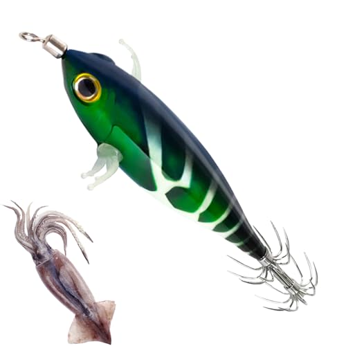Köder Für Tintenfischangeln - Leuchtende Shrimp-Köder Mit Jig-Technik,Schwimmköder Imitation Realist. fluoreszierender Angelköder für Enthusiasten Anfänger von Ruilonghai