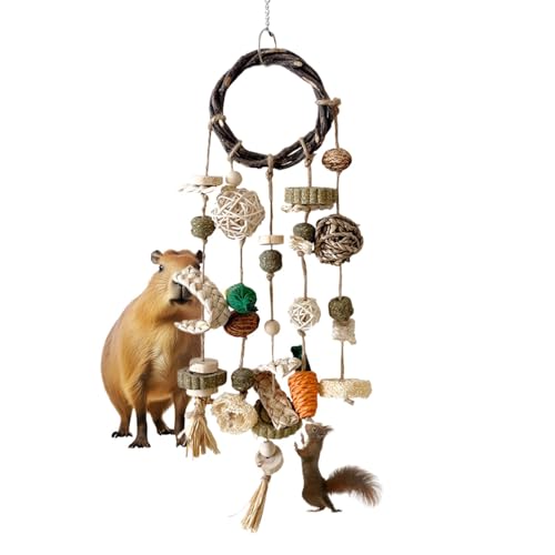 Ruilonghai Hasen-Kauspielzeug,Kaninchen-Kauspielzeug für Zähne | -Rattan-Ring mit Snacks für Kaninchen - Handgewebtes Kau- und Leckerli-Kaninchenspielzeug aus Naturholz für Chinchillas und kleine von Ruilonghai