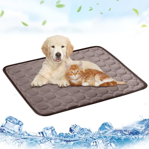Kühlmatte für Hunde, Kühlkissen für Katzen, Kühlmatte für Haustiere, Hundematte Kühldecke, Hundebett Weiches Matten, Faltbar Reisedecke für Hunde, für Reise Camping Sommer -100 x 70cm (Kaffeefarbe) Kühlmatte für Hunde, Kühlkissen für Katzen, Kühlmatte für Haustiere, Hundematte Kühldecke, Hundebett Weiches Matten, Faltbar Reisedecke für Hunde, für Reise Camping Sommer -100 x 70cm (Kaffeefarbe) von Ruioomeep