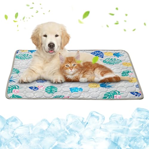 Kühlmatte Hunde, 100 x 70 cm Selbstkühlende Hundematte, Sommer Kühlkissen für Hunde, Kühldecke Katzen, Waschbares Haustier Kühlmatte, rutschfeste Hundematte für Große Mittelgroße Haustiere von Ruioomeep