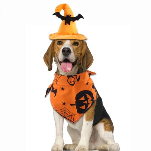 Ruiqas Haustier-Halloween-Hundehalstuch, verstellbar, Kürbiskappe, Bandana für kleine, mittelgroße und große Hunde von Ruiqas