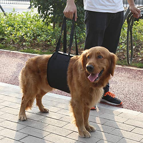 Ruiqas Hund Unterstützung Sling Und Lift Unterstützen Rehabilitation Harness Mit Griff Für Eckzähne Hilfe von Ruiqas