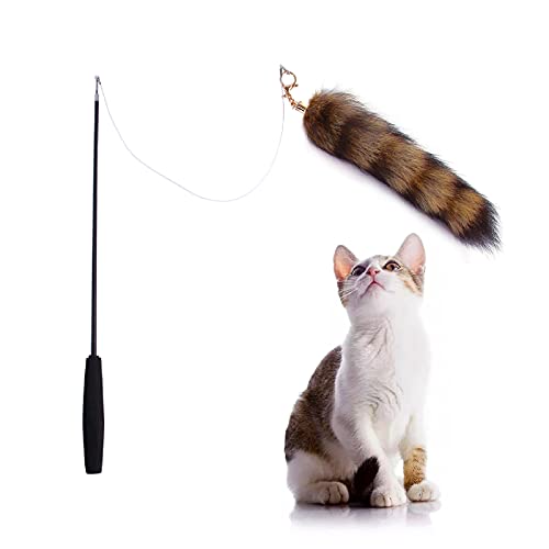 Ruiqas Katzenspielzeug mit Fuchsschwanz, ausziehbarer Kätzchen-Zauberstab für Katzentraining, Übung, Jagd, Ziehen von Ruiqas