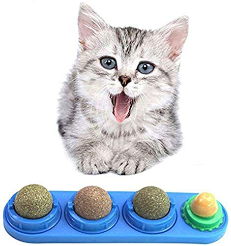 Ruiuzi Katzenminze-Ball-Set, leckbare Katzen-Leckerlis, zum Aufkleben, Wandspielzeug mit Selbstklebendem Aufkleber, Gesundheitspflege - Katze Nutrition Leckerli-Ball (Dunkelblau) von Ruiuzi