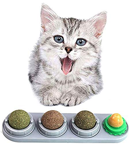 Ruiuzi Katzenminze-Ball-Set, leckbare Katzen-Leckerlis, zum Aufkleben, Wandspielzeug mit Selbstklebendem Aufkleber, Gesundheitspflege - Katze Nutrition Leckerli-Ball (Grau) von Ruiuzi