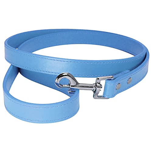 Pu-Hundeseil-Trainings-gehendes Haustier-Hundeseil-Produkte Hundegehendes Seil-Leine für Katzen oder Hunde Hundeleinen Kettenleine (Blue, One Size) von Ruiyete