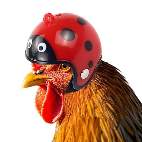 Rukjmqi 3 Stück Hühnerhelme, 70 G Hühner Helm, 4x4.5 cm Hühnerhut, Kreativer Hühnerkopfschutz, Kopfbekleidung Für Kleine Tier, Sicherheits Kopfbedeckung Für Hühner Henne Vogel Papageienanwichte Rukjmqi 3 Stück Hühnerhelme, 70 G Hühner Helm, 4x4.5 cm Hühnerhut, Kreativer Hühnerkopfschutz, Kopfbekleidung Für Kleine Tier, Sicherheits Kopfbedeckung Für Hühner Henne Vogel Papageienanwichte von Rukjmqi