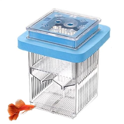 Rukjmqi Fischschlägerbox, Guppy Breeder Box | Geschwächtes Aquarium -Brüterei Box für Guppy,Wasserlebensfütterungsinkubator -Tank klarer Teiler Ruhungsfall von Rukjmqi
