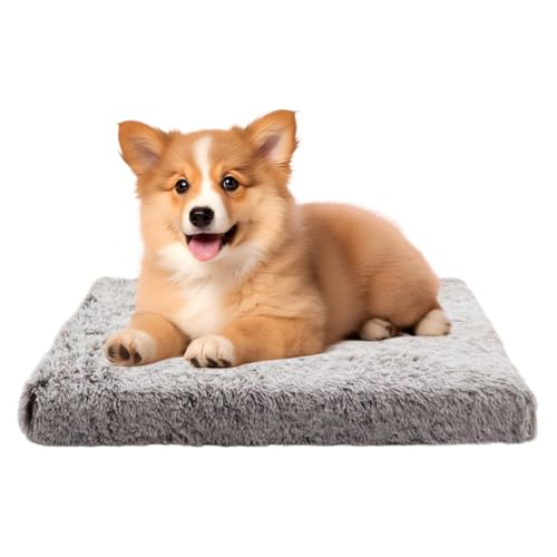 Rukjmqi Haustier-Wärmeunterlage, wärmendes Haustierbett,Warme Thermo-Haustierunterlage - Doppelseitige Hundebox-Auflage, Nicht elektrisches Winter-Haustierbett, abnehmbar für Haustiere, Katzen, Hunde Rukjmqi Haustier-Wärmeunterlage, wärmendes Haustierbett,Warme Thermo-Haustierunterlage - Doppelseitige Hundebox-Auflage, Nicht elektrisches Winter-Haustierbett, abnehmbar für Haustiere, Katzen, Hunde von Rukjmqi