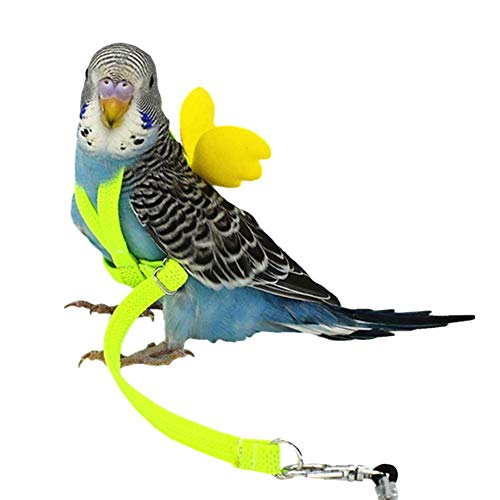 Ruluti Pet Papageien-Vogel-Gurt Und Leine Fliegen Seilgurte Outdoor Training Zugseil Für Wellensittich Wellensittich Cockatiel von Ruluti