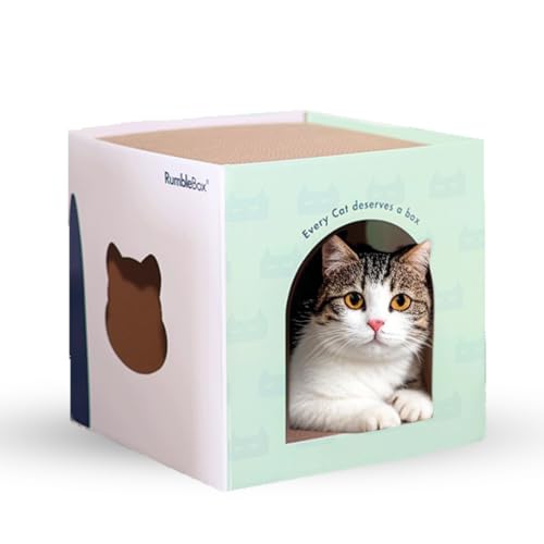 RumbleBox Katzenhaus Pappe mit Kratzbrett & Katzenminze – Kratzpappe für Katzen, Umweltfreundlich, Leicht & Stabil – Gemütliches Zuhause & Spielplatz, Hochwertige Doppelseitige Wellpappe, 30x30x30 cm von RumbleBox