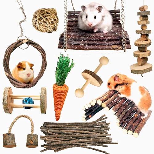 Hamster Kauspielzeug 10 Stück Meerschweinchen spielzeug Natürliche Holzhanteln Übung Glockenrolle Zahnpflege Molar Backenzahnspielzeug Spielzeug für Ratten Chinchillas Spielzeug Zubehör Kleintiere von RunFar shop