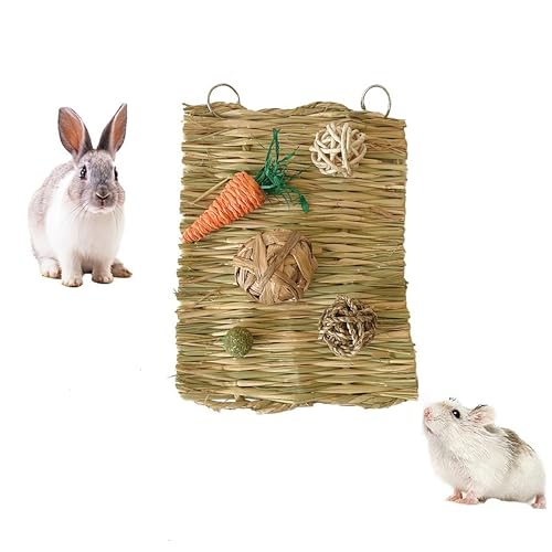 RunFar shop Handgewebt Grasmatte Kaninchen Hamster Kauspielzeug Kaninchenspielzeug Übung Zahnpflege Backenzahnspielzeug für Hamster Chinchilla Hasen Meerschweinchen von RunFar shop