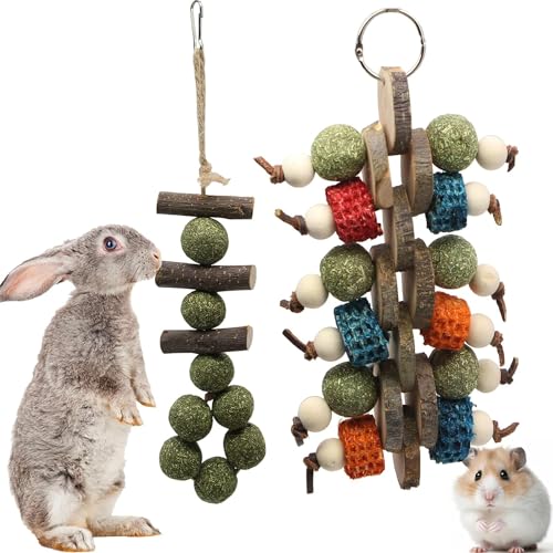 RunFar shop Kaninchen Spielzeug Hamster beschäftigung Kauspielzeug, Hasen zubehör Grasstab, süßer Bambus-Apfelzweig, Backenzahn-Stick, Grasball, Luffa-Apfel-Holzspieß 2pcs von RunFar shop