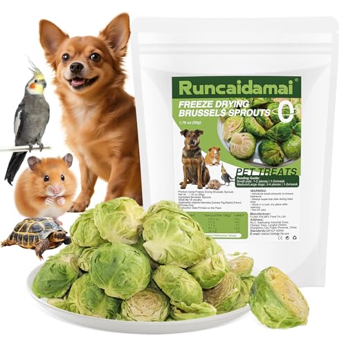 Natürlich gefriergetrocknete Rosenkohl-Snacks für Haustiere, Knackige Einzelzutat, Gesunde & Leichte Gemüse-Leckerlis für Hunde, Kaninchen, Vögel, Schildkröten, Meerschweinchen (60g) von Runcaidamai