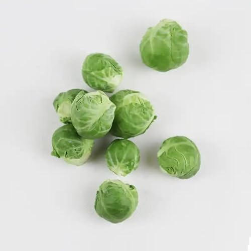 Natürliche gefriergetrocknete Rosenkohl-Snacks für Haustiere – Einzelzutat, nährstoffreich & kalorienarm für Hunde, Kaninchen, Vögel, Schildkröten & Meerschweinchen von Runcaidamai