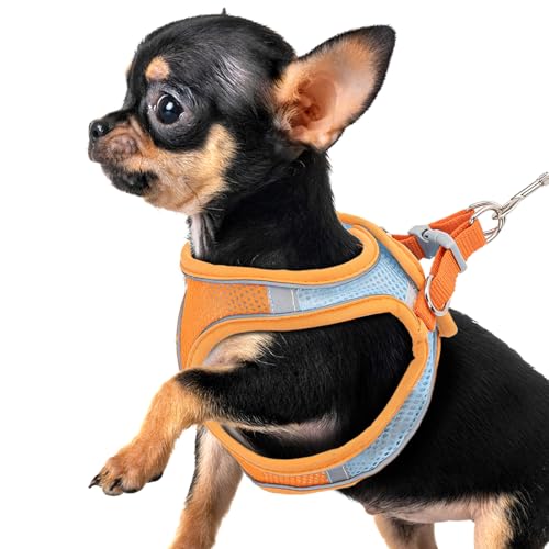 Premium Chihuahua-Geschirr und Leine, besonders bequem und sicher für Chihuahua von Runhike