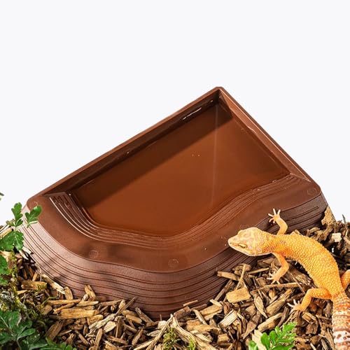 Reptilien-Rampen-Wassernapf für Reptilien, Baden, Pool, Futternapf, Wasserschale mit Rampe, Aquarium-Ornament für Gecko, Schlange, Schildkröte, Bartagame, Eidechsenbad (braun) von Runiash