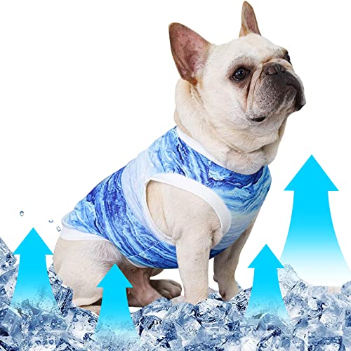 Hundekühlweste, atmungsaktive Mesh-Hundekleidung Shirt für den Sommer, eiskühlende Jacken für Welpen Hunde Indoor Outdoor Aktivitäten (M) von Runmeihe