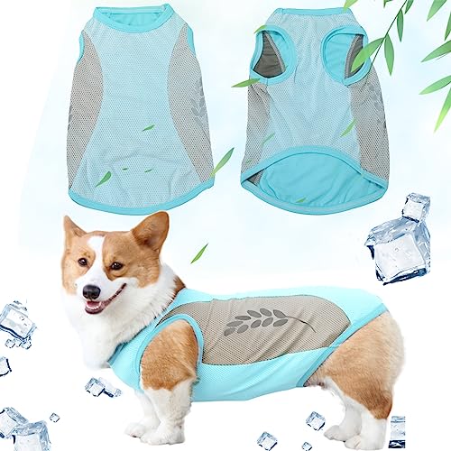 Runmeihe Hunde Kühlweste, sicherer Hundemantel mit reflektierendem Streifen, atmungsaktive Mesh Hundekleidung für den Sommer, leichte Kühlung Hundejacke (M) von Runmeihe