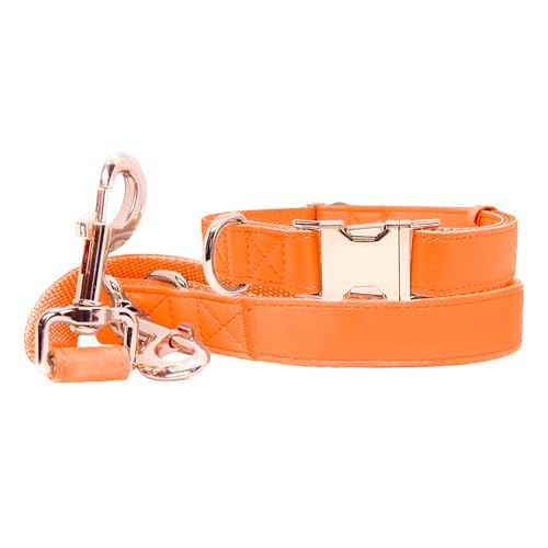 Hundehalsband und Leine Set aus weichem Leder (1,8 m) – Elegante robuste Metallschnalle in Roségold, 4 Längen verstellbare Leine für kleine, mittelgroße und große Hunde, bequem von Runwing