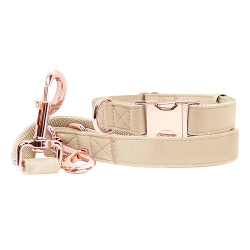 Runwing Hundehalsband und Leine Set aus weichem Leder (1,8 m) | Elegante robuste Metallschnalle in Roségold | 4-fach verstellbare Leine für kleine, mittlere und große Hunde von Runwing