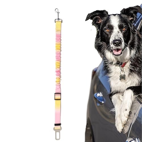 Hunde-Sicherheitsgurt für Auto | Abnehmbares Hunde-Sicherheitsgurt für Auto – einziehbares, verstellbares Haustierzubehör mit Schnalle, stoßfeste Weste, Geschirr für LKW, Fahrzeug, Reisen Hunde-Sicherheitsgurt für Auto | Abnehmbares Hunde-Sicherheitsgurt für Auto – einziehbares, verstellbares Haustierzubehör mit Schnalle, stoßfeste Weste, Geschirr für LKW, Fahrzeug, Reisen von Rurunklee