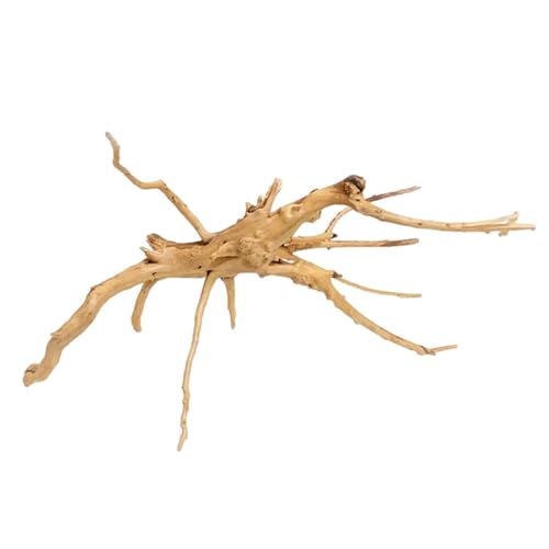 Natürliche Treibholzzweige Reptilien Aquarium Dekoration Größe 20-25 cm von Rurunklee