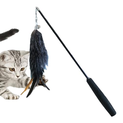 Rurunklee Cat Teaser Zauberstab | Teaser Zauberstab Katze Teaser Spielzeug Interaktives Katzenspielzeug mit Glocke - Anti-Rutsch-Katzen Teaser Spielzeug, Lustiges Katzenfederspielzeug zum Spielen und Rurunklee Cat Teaser Zauberstab | Teaser Zauberstab Katze Teaser Spielzeug Interaktives Katzenspielzeug mit Glocke - Anti-Rutsch-Katzen Teaser Spielzeug, Lustiges Katzenfederspielzeug zum Spielen und von Rurunklee