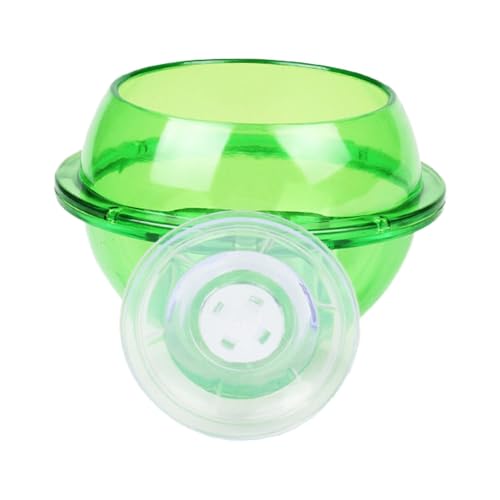 Rurunklee Chamäleon Futternapf - Gecko Ledge Wasserschale - Chamäleon Saugnapf Feeder Bowl Reptilien Wasserschalen Anti Flucht Wurm Lebendfutterbehälter Rurunklee Chamäleon Futternapf - Gecko Ledge Wasserschale - Chamäleon Saugnapf Feeder Bowl Reptilien Wasserschalen Anti Flucht Wurm Lebendfutterbehälter von Rurunklee