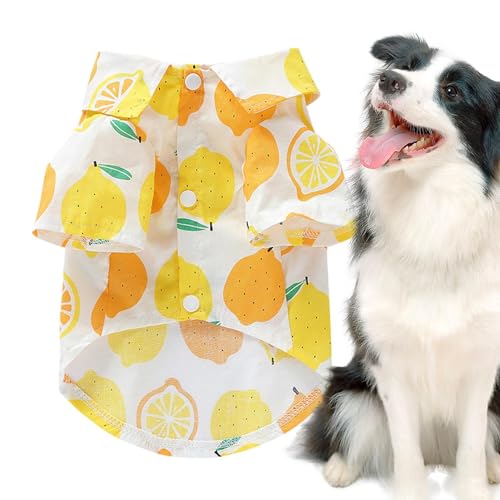 Rurunklee Fruit Dog Shirt – Atmungsaktives Haustier-Shirt für kleine Hunde – Fruchtdruck Welpen-Outfit, Haustier-T-Shirt, weiche Haustierbekleidung, Hunde-Shirt für Welpen Rurunklee Fruit Dog Shirt – Atmungsaktives Haustier-Shirt für kleine Hunde – Fruchtdruck Welpen-Outfit, Haustier-T-Shirt, weiche Haustierbekleidung, Hunde-Shirt für Welpen von Rurunklee