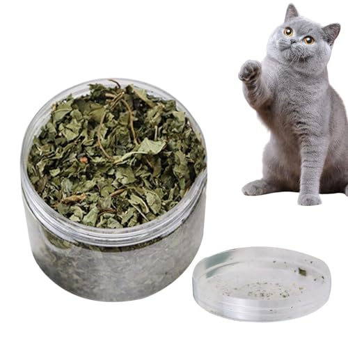 Rurunklee Katzenminze lose | 40 g getrocknete gemahlene Katzenminze, beruhigende natürliche Blätter, entspannende echte natürliche Katzenminze, gesunde Zahnreinigung, Katzenminze für Mundgesundheit, Rurunklee Katzenminze lose | 40 g getrocknete gemahlene Katzenminze, beruhigende natürliche Blätter, entspannende echte natürliche Katzenminze, gesunde Zahnreinigung, Katzenminze für Mundgesundheit, von Rurunklee