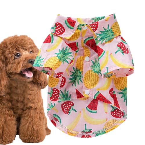 Rurunklee Sommer-Hunde-Shirt, atmungsaktive Hundebekleidung, Haustierbekleidung, Welpenkleidung, Hundebekleidung, Obstdruck, Welpen-Outfit für kleine und mittelgroße Hunde im Sommer Rurunklee Sommer-Hunde-Shirt, atmungsaktive Hundebekleidung, Haustierbekleidung, Welpenkleidung, Hundebekleidung, Obstdruck, Welpen-Outfit für kleine und mittelgroße Hunde im Sommer von Rurunklee
