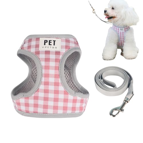 Set aus Leinen und Geschirr für Haustiere, Geschirr und Leinen für Hunde, Set mit verstellbarer Weste für Haustiere, Spaziergang für Hunde Rurunklee Set aus Leinen und Geschirr für Haustiere, Geschirr und Leinen für Hunde, Set mit verstellbarer Weste für Haustiere, Spaziergang für Hunde Rurunklee von Rurunklee