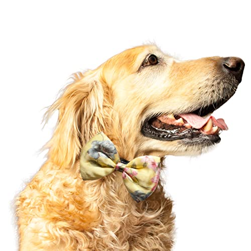 Ruse Fliege für Hunde, Zen, floral, bedruckt, recycelt, Satin, einfach zu bedienen, gegen Scheuern, elastisches Gurt, Geschenk für Haustiere, Hunde, Schal, Krawatte (klein-mittel) (zitronengelb) von Ruse