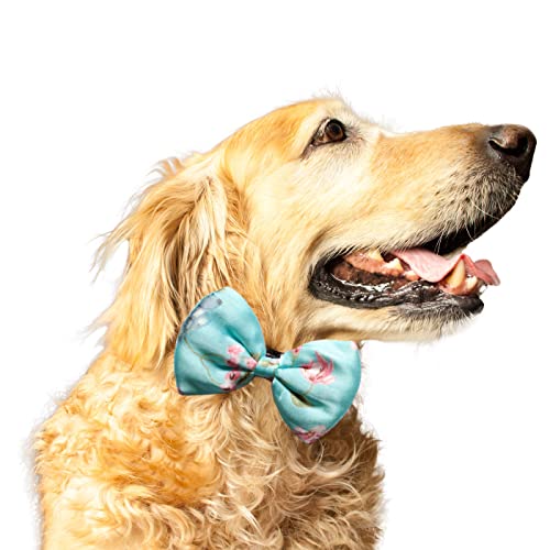 Ruse Fliege für Hunde und Hunde, Blumenmuster, recycelt, Satin, einfach zu bedienen, Anti-Scheuern, elastisches Gurt, Geschenk für Haustiere, Hunde, Schal, Krawatte (klein-mittel) (aquagrün) von Ruse