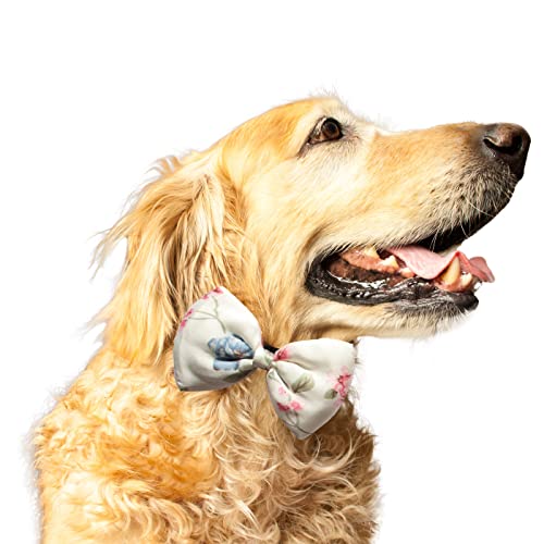 Ruse Fliege für Hunde und Hunde, Vintage-Stil, Blumenmuster, recycelt, Satin, einfach zu bedienen, Anti-Scheuern, elastisches Gurt, Geschenk für Haustiere, Hunde, Schal, Krawatte, Größe L, XL, Weiß von Ruse