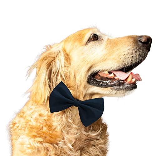 Ruse Fliege für Hunde und Katzen, Marineblau, robust, einfach zu bedienen, Anti-Scheuern, elastisches Gurt, Geschenk für Haustiere, Hunde und Katzen, Schal-Krawatte/L XL-NAV2100020BT_L-XL von Ruse