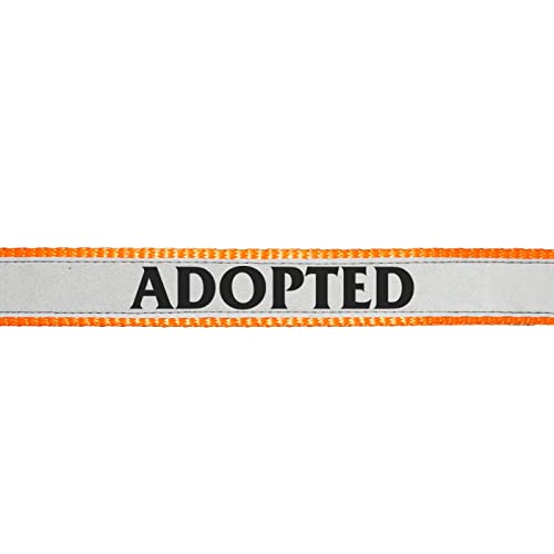 Ruse Haustier Adopted Bedruckter reflektierender Nylon Halsgurt Verstellbares Hundehalsband für Welpen, kleine, große Hunde.-ONC2100002DA_L von Ruse