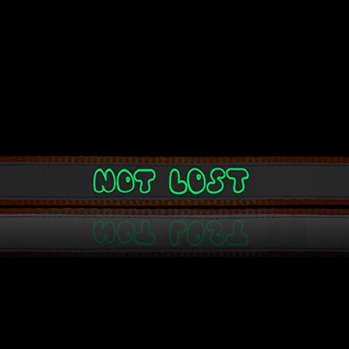 Ruse Pet Not Lost Dog Glow in the Dark Bedruckter Reflektierender Nylon Halsgurt Verstellbares Hundehalsband für Welpen, Kleine, Große Hunde.-ONC2000035GD_L von Ruse