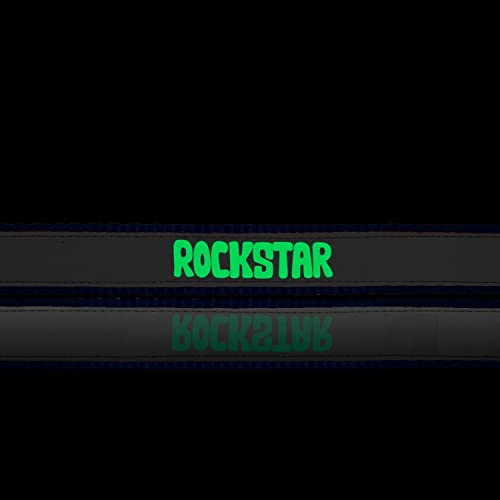 Ruse Pet Rockstar Glow in the Dark Bedruckter reflektierender Nylon-Halsgürtel verstellbares Hundehalsband für Welpen, kleine, große Hunde.-NNC2000041GD_L von Ruse
