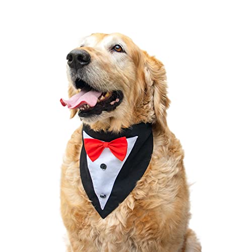 Ruse Smoking mit verstellbarem und bequemem, elastischem Hundehalstuch, Geschenk für Haustiere. (Schwarz und Rot), Größe L, BRA2200001DTB_L von Ruse