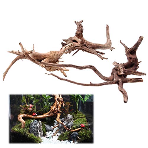 Ruspela Kleines Malaysisches Treibholz für Aquarien, luxuriöses Set für Aquarien, Echtholz, Moorbaum, Ornament, Baumwurzel von Nicoone