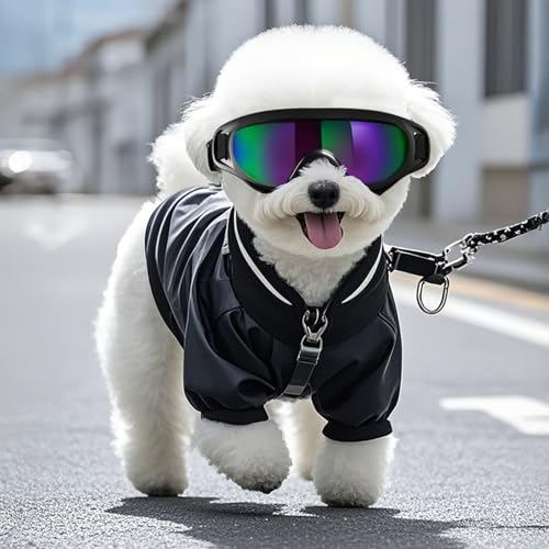 Haustierbrille, Sommer-Sonnenbrille für Hunde und Katzen, UV-Schutz & atmungsaktiv und weich, niedliche Haustier-dekorative Hundebrille, Neon-L Haustierbrille, Sommer-Sonnenbrille für Hunde und Katzen, UV-Schutz & atmungsaktiv und weich, niedliche Haustier-dekorative Hundebrille, Neon-L von Rutaqian