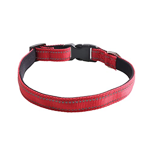 Rutaqian Hundehalsband, reflektierend, stabil, Nylon, Größe M, für Tiere, Rot, 1,5 cm von Rutaqian