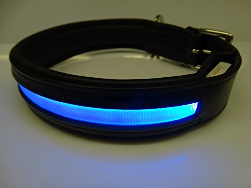 Rutis Tierwelt Firstclass LED Lederhalsband (L 50-55 cm, Schwarz/DKL.Blau Leuchtfarbe Blau) von Rutis Tierwelt
