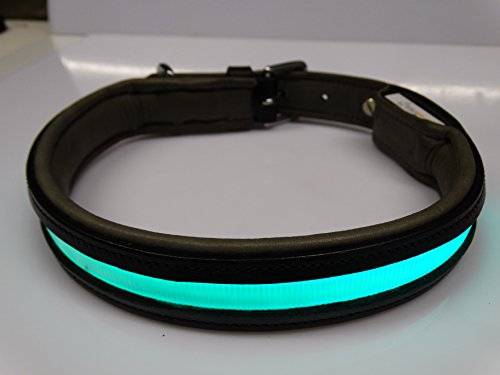 Rutis Tierwelt Firstclass LED Lederhalsband (L 50-55 cm, Schwarz/Oliv Leuchtfarbe Grün) von Rutis Tierwelt